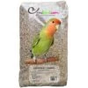 Agapornides - Ornibird, Mélange Pour Inséparables 20kg 1 Agapornides - Ornibird, Mélange Pour Inséparables 20kg -Oiseaux Fournitures Soldes agapornides ornibird melange pour inseparables 20kg 700129 private label ornibird melange de graines pour agapornides inseparabl