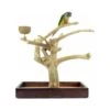 Aire De Jeux En Bois De Java Avec Socle - Small - Back Zoo Nature 2 Aire De Jeux En Bois De Java Avec Socle - Small - Back Zoo Nature -Oiseaux Fournitures Soldes aire de jeux en bois de java avec socle small back zoo nature zf1112 back zoo nature aire de jeux en bois de java avec socle et