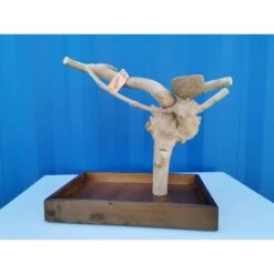 Aire De Jeux En Bois De Java Avec Socle - Small - Back Zoo Nature -Oiseaux Fournitures Soldes aire de jeux en bois de java avec socle small back zoo nature zf1112 back zoo nature aire de jeux en bois de java avec socle et 1 2