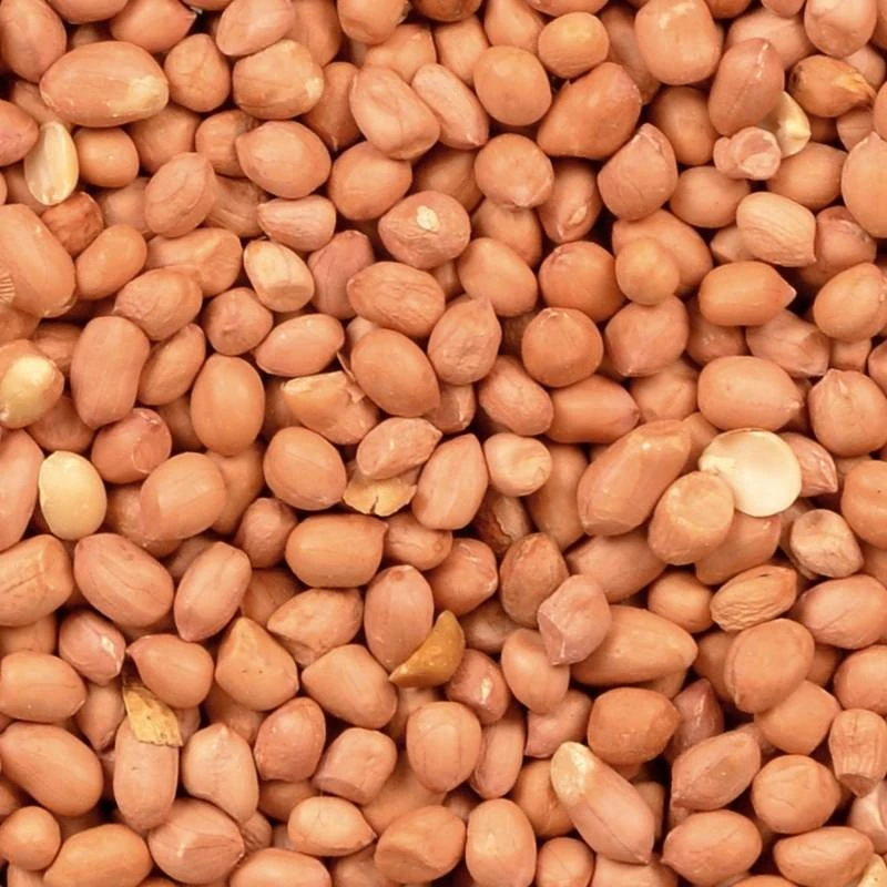 Arachides Pelées Extra Vacuum 25kg - Duvo 4 Arachides Pelées Extra Vacuum 25kg - Duvo – Image 2