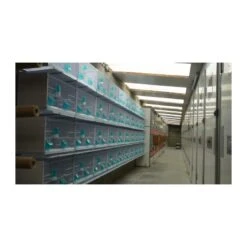 Batterie De 12 Cages 64x30x34 Modèle Champion- New Canariz -Oiseaux Fournitures Soldes batterie de 12 cages 64x30x34 modele champion new canariz 3000 new canariz livree avec un systeme de rouleaux de papier comme fo 18