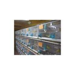 Batterie De 12 Cages 64x30x34 Modèle Champion- New Canariz -Oiseaux Fournitures Soldes batterie de 12 cages 64x30x34 modele champion new canariz 3000 new canariz livree avec un systeme de rouleaux de papier comme fo 5