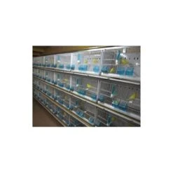Batterie De 12 Cages 64x30x34 Modèle Champion- New Canariz -Oiseaux Fournitures Soldes batterie de 12 cages 64x30x34 modele champion new canariz 3000 new canariz livree avec un systeme de rouleaux de papier comme fo 8