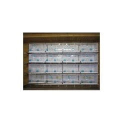 Batterie De 12 Cages 64x30x34 Modèle Champion- New Canariz -Oiseaux Fournitures Soldes batterie de 12 cages 64x30x34 modele champion new canariz 3000 new canariz livree avec un systeme de rouleaux de papier comme fo 9