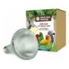 Bird Sun UV-Lamp System 70W - Back Zoo Nature -Oiseaux Fournitures Soldes bird sun uv lamp system 70w back zoo nature zf7762 back zoo nature la lampe uv back zoo nature bird sun 70w est une lampe profes
