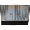 Cage Exposition Caille Noir En PVC