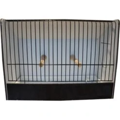 Cage Exposition Caille Noir En PVC