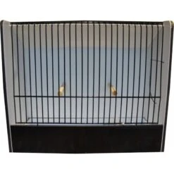 Cage Exposition Exotique Noir En PVC
