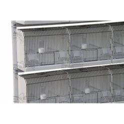 Cage Exposition Plastique 36x17x30cm - 2G-R -Oiseaux Fournitures Soldes cage exposition plastique 36x17x30cm 2g r art 315fn3 2g r cage de preparation avec facade noire 1 porte centrale avec ressort et 3