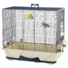 Cage Petit Oiseau Primo 50 Bleu 64x38x56cm -Oiseaux Fournitures Soldes cage petit oiseau primo 50 bleu 64x38x56cm 112120200 grizo la cage primo 50 est une cage specialement concue pour les petits ois