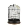 Cage "Retro" Lisette Diam.35cm -Oiseaux Fournitures Soldes cage retro lisette diam35cm 104860 zolux cage retro lisetteune cage vintage pour les oiseaux crochet de suspension en metal plat