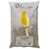 Canaris - Ornibird, Mélange Pour Canaris 20kg -Oiseaux Fournitures Soldes canaris ornibird melange pour canaris 20kg 700120 private label ornibird melange de graines pour canaris composition graines dal