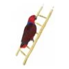 Echelle Bois 60cm - Back Zoo Nature -Oiseaux Fournitures Soldes echelle bois 60cm back zoo nature zf1122 back zoo nature lechelle java back zoo nature est une echelle 100 naturelle sur laquell