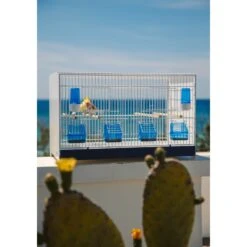 Ensemble De 4 Cages 60x33x33cm Avec Chariot ART.90 - Modèle Einstein - Italgabbie -Oiseaux Fournitures Soldes ensemble de 4 cages 60x33x33cm avec chariot art90 modele einstein italgabbie art90 4 t italgabbie ensemble de 4 cages a tiroirs 1 1