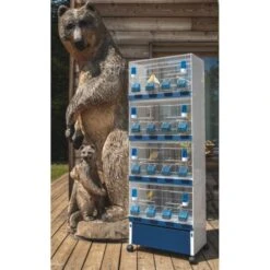 Ensemble De 4 Cages 60x33x33cm Avec Chariot ART.90 - Modèle Einstein - Italgabbie -Oiseaux Fournitures Soldes ensemble de 4 cages 60x33x33cm avec chariot art90 modele einstein italgabbie art90 4 t italgabbie ensemble de 4 cages a tiroirs 1 3