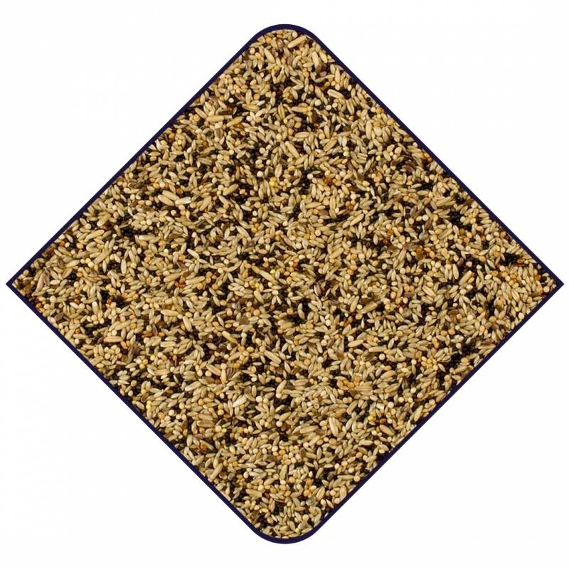 Expert Base Canaris 20kg - Witte Molen 4 Expert Base Canaris 20kg - Witte Molen – Image 2