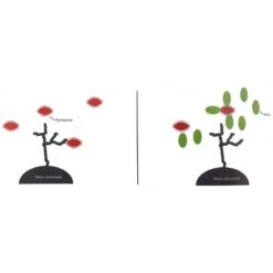 Flora+ 250gr - Deli Nature 6 Flora+ 250gr - Deli Nature -Oiseaux Fournitures Soldes flora 250gr deli nature 023067 deli nature flora est un stabilisateur intestinal avec un effet probiotique developpe grace a une 1