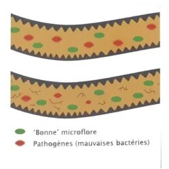 Flora+ 250gr - Deli Nature 7 Flora+ 250gr - Deli Nature -Oiseaux Fournitures Soldes flora 250gr deli nature 023067 deli nature flora est un stabilisateur intestinal avec un effet probiotique developpe grace a une 2