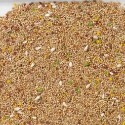 N°11 Perruches Colormix 20kg - Deli Nature -Oiseaux Fournitures Soldes n11 perruches colormix 20kg deli nature 006411 deli nature est un melange de base standard enrichi de morceaux de biscuits aux f 1