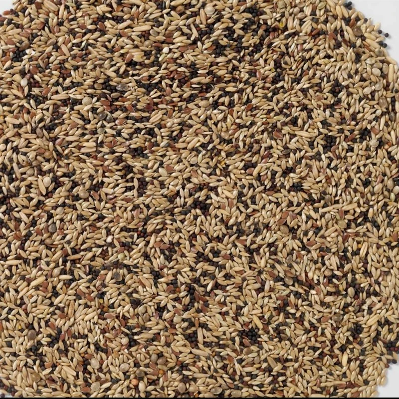 N°53 Canaris Extra 20kg - Deli Nature 4 N°53 Canaris Extra 20kg - Deli Nature – Image 2