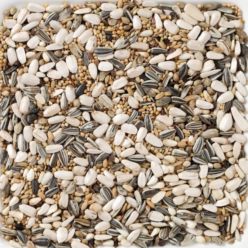 N°59 Grandes Perruches Standard 15kg - Deli Nature 4 N°59 Grandes Perruches Standard 15kg - Deli Nature – Image 2