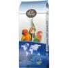 N°59 Grandes Perruches Standard 15kg - Deli Nature -Oiseaux Fournitures Soldes n59 grandes perruches standard 15kg deli nature 006459 deli nature est un melange dune grande variete pour grandes perruches ing