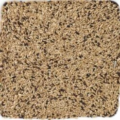 N°65 Canaris Light 20kg - Deli Nature 5 N°65 Canaris Light 20kg - Deli Nature -Oiseaux Fournitures Soldes n65 canaris light 20kg deli nature 006365 deli nature est un melange de regime ideal avec 85 dalpiste pour permettre une meilleu 1