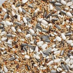 Oiseaux Fournitures Soldes -Oiseaux Fournitures Soldes n69 grandes perruches avec tournesols 20kg deli nature 006469 deli nature est un melange tres varie contenant 10 de graines de t 1