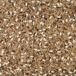 N°72 Agapornis Champion 20kg - Deli Nature -Oiseaux Fournitures Soldes n72 agapornis champion 20kg deli nature 006472 deli nature est un melange de premiere qualite contenant 40 dalpistes pour les ag 1