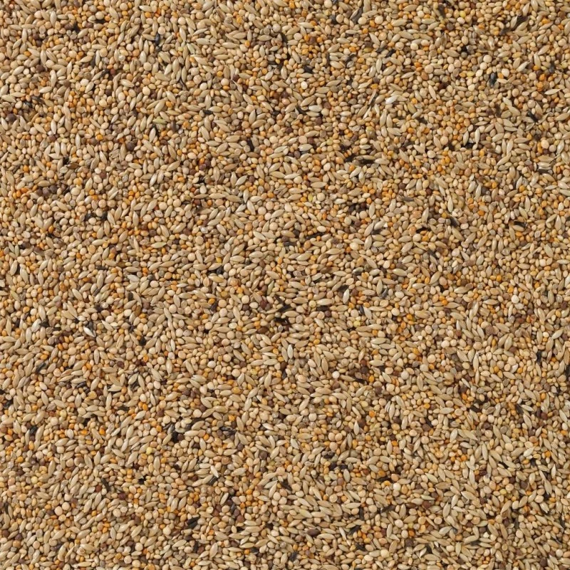 N°84 APV Gould 20kg - Deli Nature 4 N°84 APV Gould 20kg - Deli Nature – Image 2