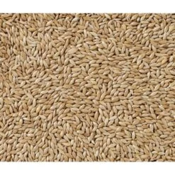 N°86 Alpistes Extra 20kg - Deli Nature -Oiseaux Fournitures Soldes n86 alpistes extra 20kg deli nature 002986 deli nature n86 alpistes extra 20kg deli nature 1