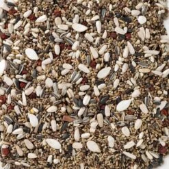 N°90 Durbecs Des Sapins Et Becs-Croisés 15kg - Deli Nature -Oiseaux Fournitures Soldes n90 durbecs des sapins et becs croises 15kg deli nature 006590 deli nature est un melange specifique adapte aux besoins des durb 1