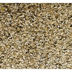 N°98 Tarins Américains 12,5kg - Deli Nature 5 N°98 Tarins Américains 12,5kg - Deli Nature -Oiseaux Fournitures Soldes n98 tarins americains 125kg deli nature 006598 deli nature est un melange tres varie avec une forte proportion de dactyle peloto 1