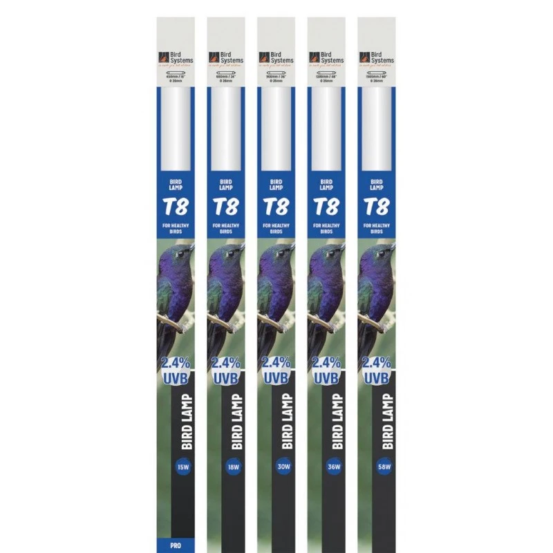 Néon 120cm T8 Bird Lamp 36W - Bird Systems 4 Néon 120cm T8 Bird Lamp 36W - Bird Systems – Image 2