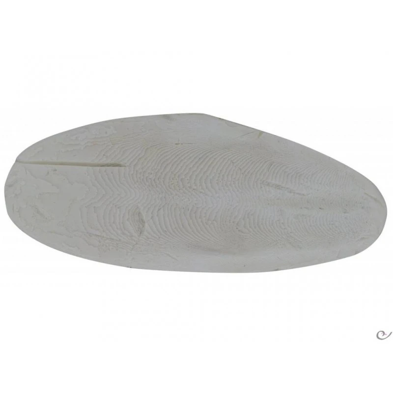 Os De Seiche, Qualité Prémium 500gr 6 Os De Seiche, Qualité Prémium 500gr – Image 4