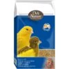 Patée Aux Oeufs Jaune Grasse 10kg - Deli Nature -Oiseaux Fournitures Soldes patee aux oeufs jaune grasse 10kg deli nature 040522 deli nature la patee aux oeufs jaune grasse est une patee aux oeufs prete a