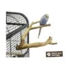 Perchoir Java Multi Perchoirs Premium 20cm X-Small - Back Zoo Nature -Oiseaux Fournitures Soldes perchoir java multi perchoirs premium 20cm x small back zoo nature zf1015 back zoo nature perchoir java multi perchoirs premium