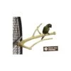 Perchoir Java Multi Perchoirs Premium 30cm Small - Back Zoo Nature 2 Perchoir Java Multi Perchoirs Premium 30cm Small - Back Zoo Nature -Oiseaux Fournitures Soldes perchoir java multi perchoirs premium 30cm small back zoo nature zf1004 back zoo nature perchoir java multi perchoirs premium 30