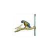 Perchoir Java Multi Perchoirs Premium 45-70cm Extra Large - Back Zoo Nature -Oiseaux Fournitures Soldes perchoir java multi perchoirs premium 45 70cm extra large back zoo nature zf1007 back zoo nature multi perch premium x largele m