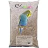 Petites Perruches - Ornibird, Mélange Pour Petites Perruches 20kg 1 Petites Perruches - Ornibird, Mélange Pour Petites Perruches 20kg -Oiseaux Fournitures Soldes petites perruches ornibird melange pour petites perruches 20kg 700123 private label ornibird melange de graines pour petites per