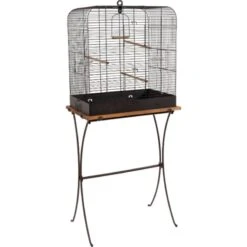 Pied "Retro" Célestine -Oiseaux Fournitures Soldes pied retro celestine 104157 pied retro celestine 1