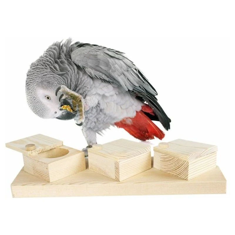 Tasses D'entraînement Cérébral 22,5x8cm - Back Zoo Nature 3 Tasses D'entraînement Cérébral 22,5x8cm - Back Zoo Nature